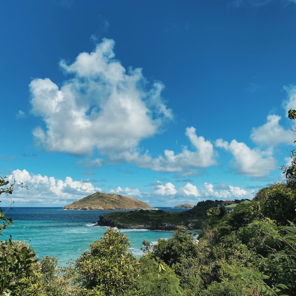 Meet your Posher, Remy